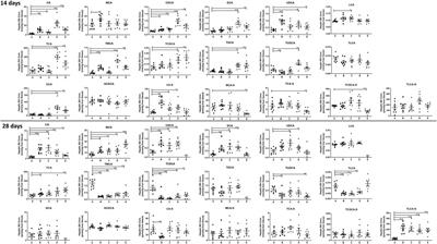 Hepatotoxicity of the Major Anthraquinones Derived From Polygoni Multiflori Radix Based on Bile Acid Homeostasis